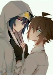 蘑菇视频离线版
